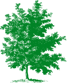 tree icon